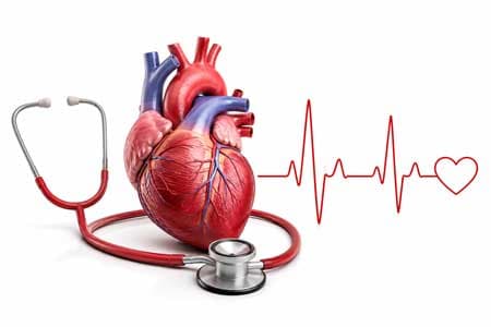 Cardiology